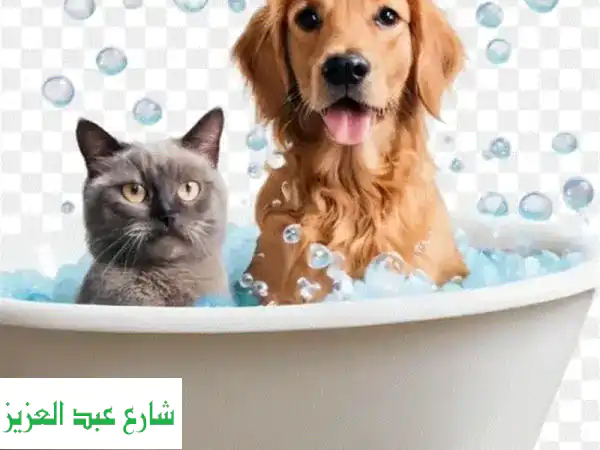 جرومنج وحلاقة كلاب احترافية | عناية متكاملة لصحة...