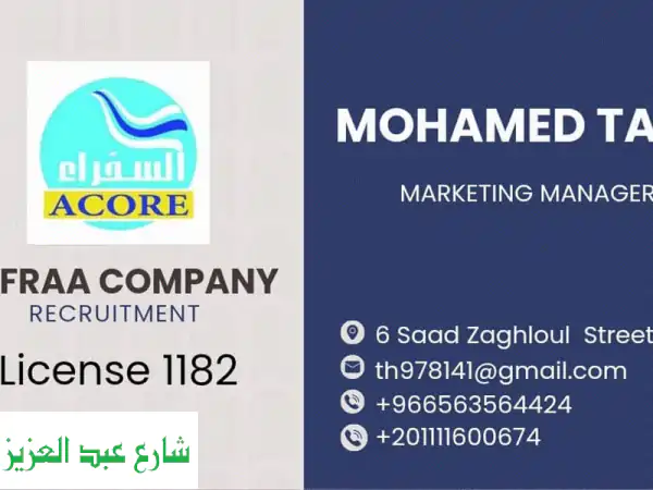 السفراء للتوظيف بالخارج: كفاءات مصرية مؤهلة...