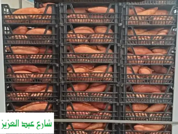 بطاطا حلوة Nature's Gold: من مزارعنا للعالم | أجود أنواع البطاطس الحلوة بالجملة والتصدير