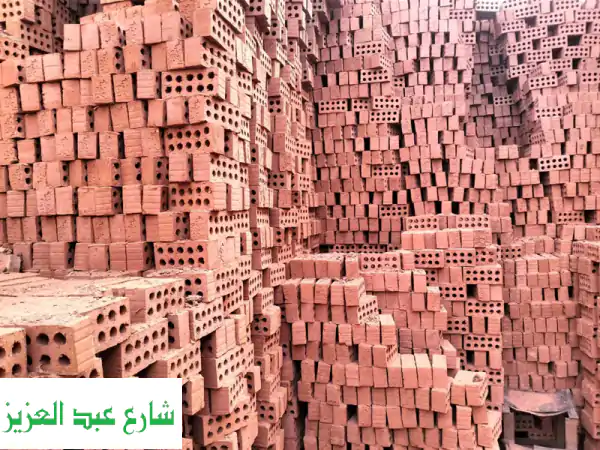 الطوب الأحمر الطفلي من النور: أساس قوي يدوم -...