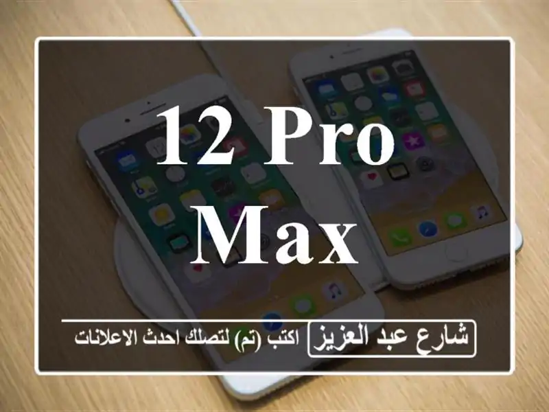 12 pro max
