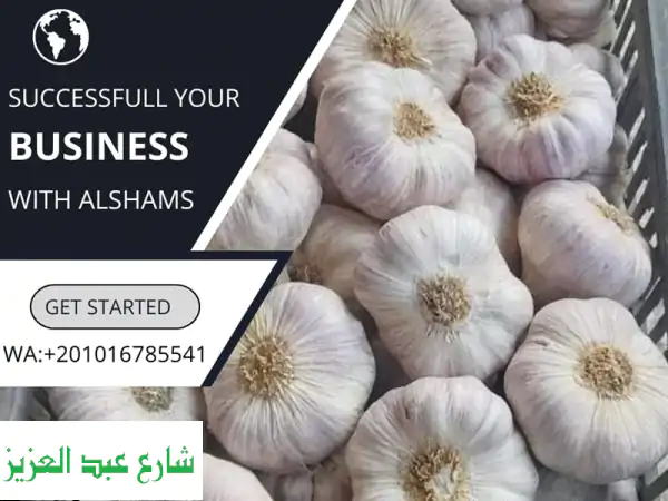 تصدير منتجات مصرية طازجة لأوروبا: جودة استثنائية...