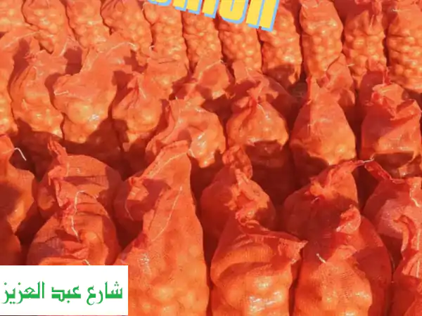 عزّز سلسلة إمدادك: بصل مصري ذهبي 2026 | الشمس للصادرات الزراعية (طلب مسبق)