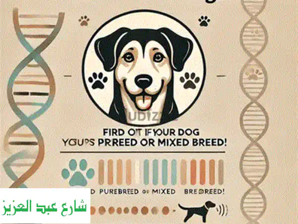 فندق حيوانات أليفة: رعاية بلا أقفاص لقطط، كلاب، طيور، وزواحف