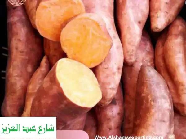بطاطا حلوة مصرية فاخرة للتصدير | مذاق طبيعي...