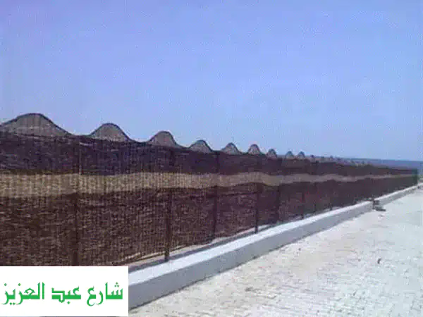 واحتك الخاصة: تصميم حدائق مذهل، برجولات حديد...