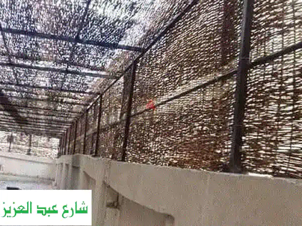 واحتك الخاصة: تصميم حدائق مذهل، برجولات حديد فنية ونباتات تمر حنة لكل ركن