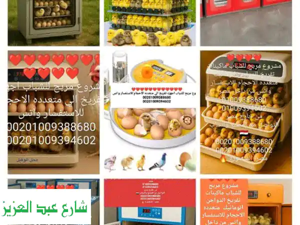 إنتاج حيواني احترافي 🐄 | حيوانات صحية وجودة مضمونة | توريد وخدمات 📞