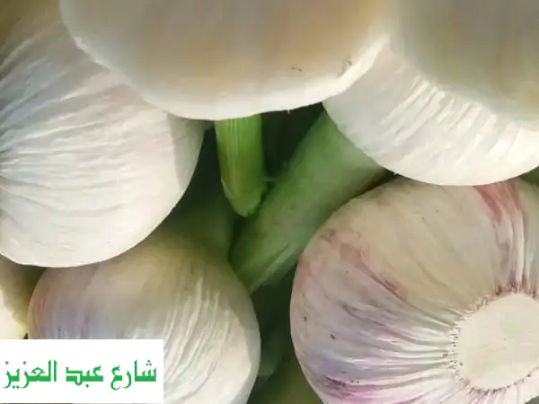 ثوم أخضر فاخر للتصدير: جودة مزارعنا الطازجة لأسواقكم العالمية!