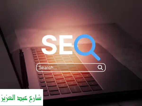 خبيرة SEO: تصدر جوجل، زيادة زوار حقيقيين، حلول...