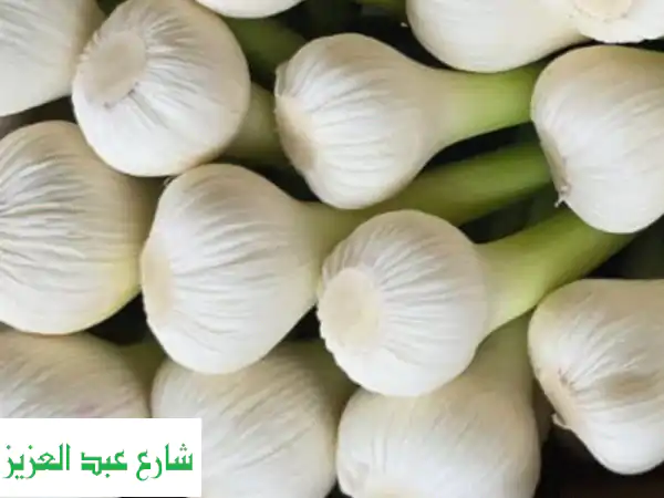 ثوم أخضر فاخر للتصدير: جودة مزارعنا الطازجة...