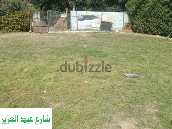 مدرب كلاب من كلية الشرطه k9