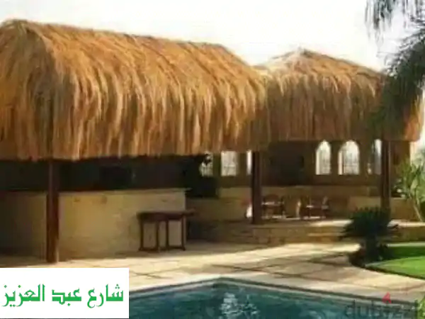 شماسي وبرجولات قش أفريقي: لمسة سحر طبيعي لمنتجعك ومقهىك!