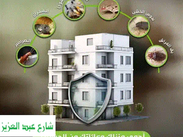 شركة رش حشرات المنزل