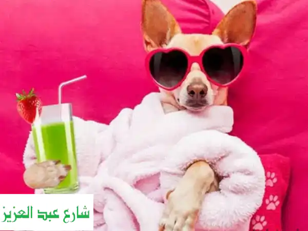 وداعاً لقلق السفر! استضافة ورعاية بيطرية...