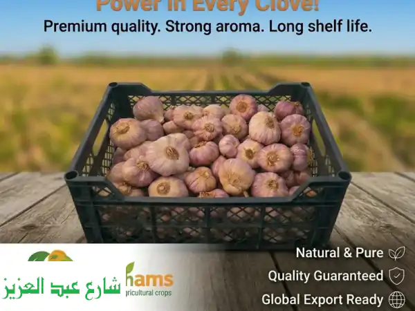 ثوم مصري طازج فاخر: نكهة وقوة لا تُضاهى من مزارع...