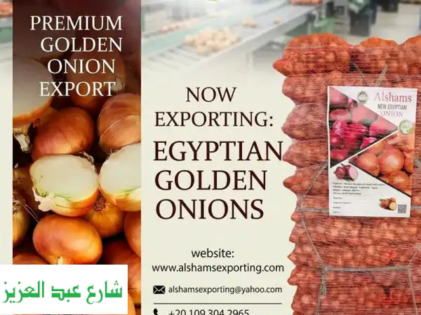 البصل المصري الذهبي: الجودة الماسية لمائدتك! |...