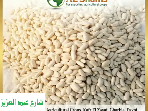 كنوز النيل: فاصوليا بيضاء مصرية فاخرة | جودة...