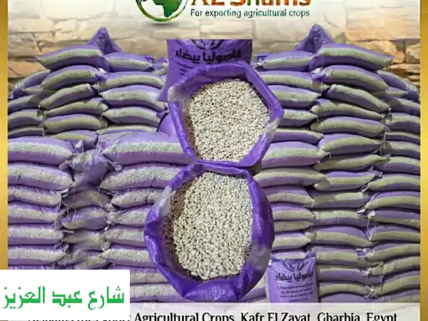 كنوز النيل: فاصوليا بيضاء مصرية فاخرة | جودة عالمية، شحن دولي!