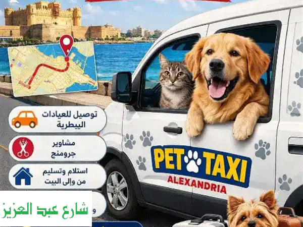 Pet Taxi الإسكندرية: توصيل حيوانك الأليف بأمان وراحة...