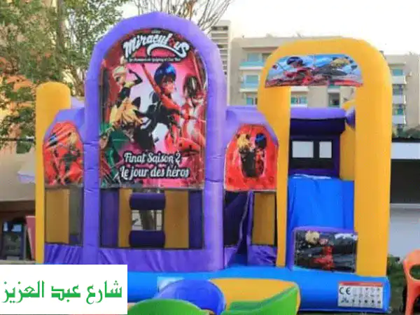 Hana Event Organizer