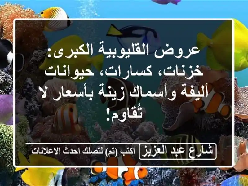 عروض القليوبية الكبرى: خزنات، كسارات، حيوانات...