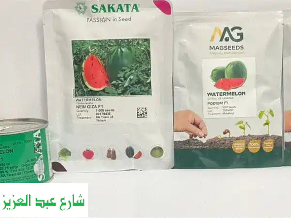 بذور بطيخ احترافية  إنتاج قوي + أسعار خاصة