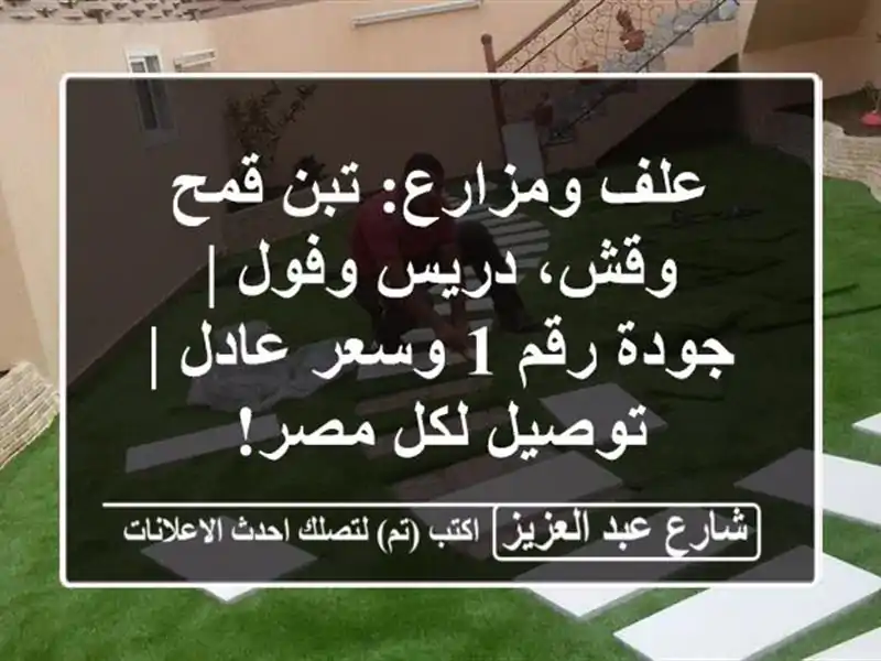 علف ومزارع: تبن قمح وقش، دريس وفول | جودة رقم 1 وسعر...