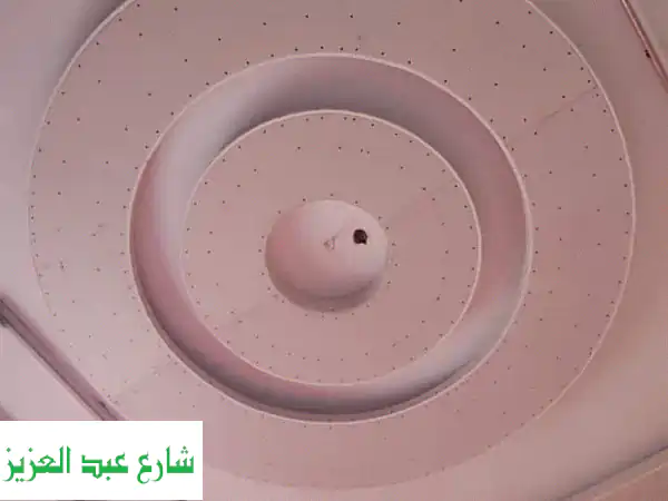 موجود فريق صنايعيه جبسون بورد موجودين في المنصوره مع الدقة