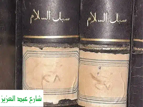 سبل السلام شرح بلوغ المرام من أدلة الأحكام...