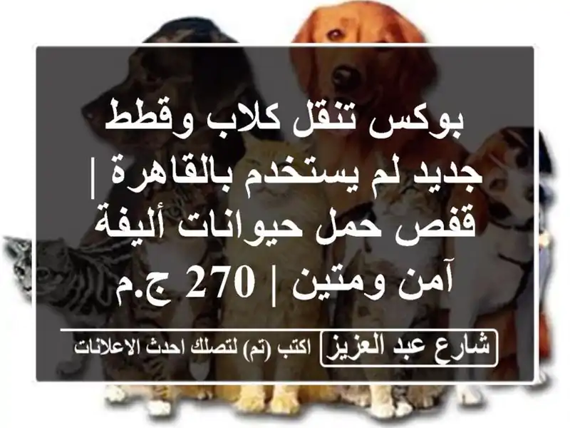 بوكس تنقل كلاب وقطط جديد لم يستخدم بالقاهرة | قفص...