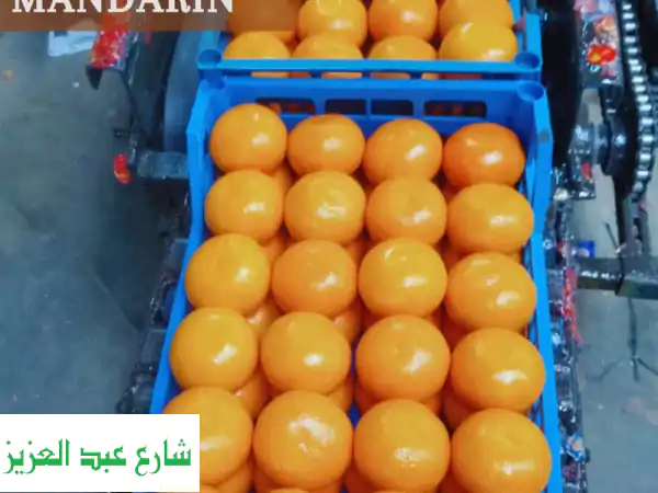premium egyptian mandarin  limited season top quality. perfect taste. ready for export now. sweet ...