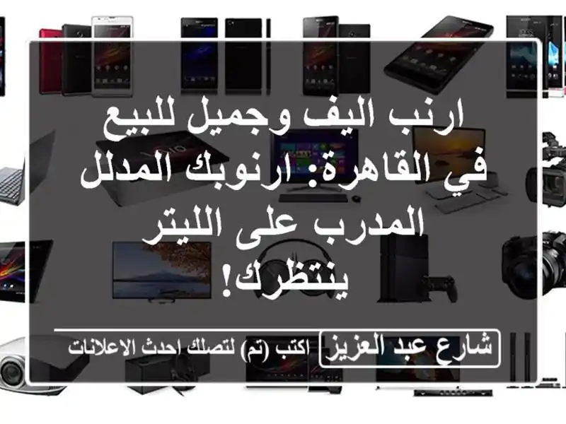 ارنب اليف وجميل للبيع في القاهرة: ارنوبك المدلل...