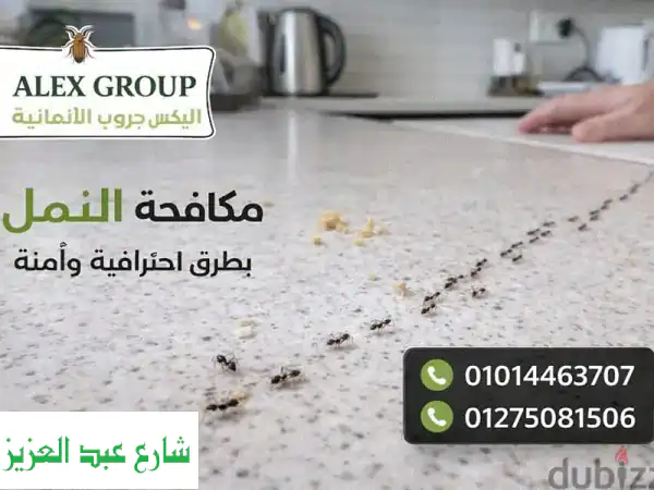 وداعاً للحشرات نهائياً! | اليكس جروب: مكافحة القوارض والصراصير بضمان