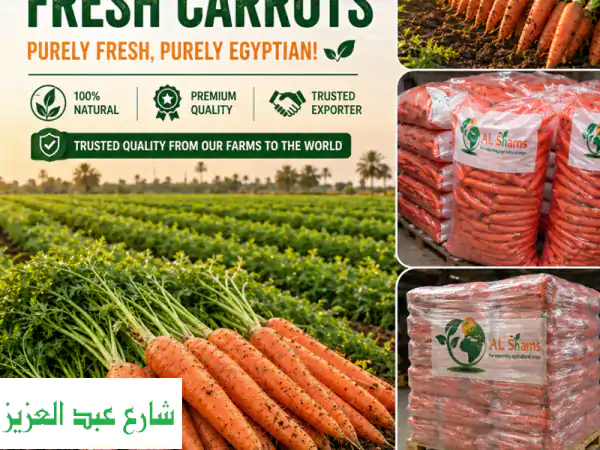 الشمس للتصدير: جزر مصري طازج وفاخر – مقرمش، حلو،...