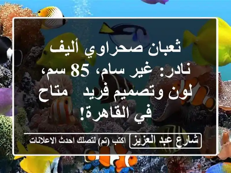 ثعبان صحراوي أليف نادر: غير سام، 85 سم، لون وتصميم فريد...