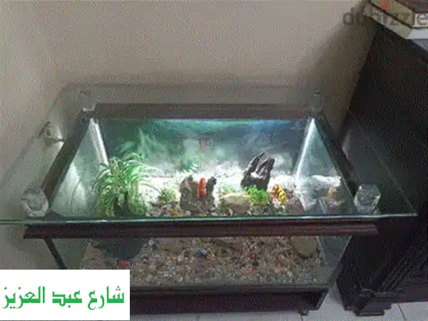 للبيع: حوض سمك 70×40×40 سم | كامل التجهيزات وجاهز للتشغيل | فرصة ذهبية للمبتدئين وهواة الأحواض
