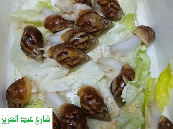 حلزون أفريقي عملاق ماشاءالله بالإسكندرية: رفيقك الفريد من عالم الحيوانات الأليفة!