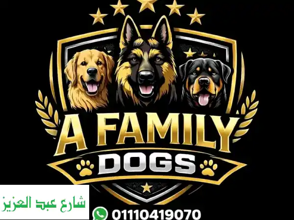 عرض العيد من A FAMILY DOGS