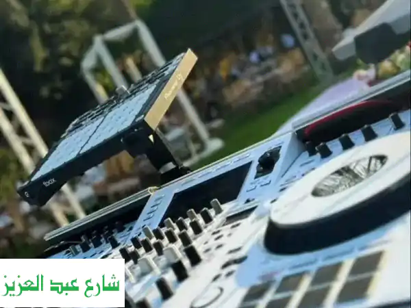 دكتور الدي جي في مصر: اكتشف سحر ليالي الفخامة...