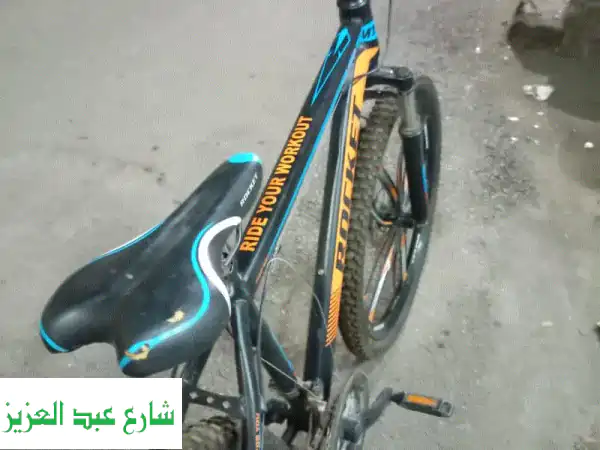 الزيتون