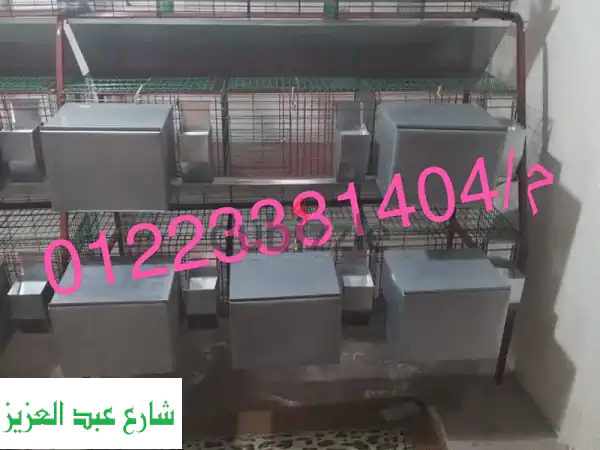بطاريات 11 عين نص هرمى