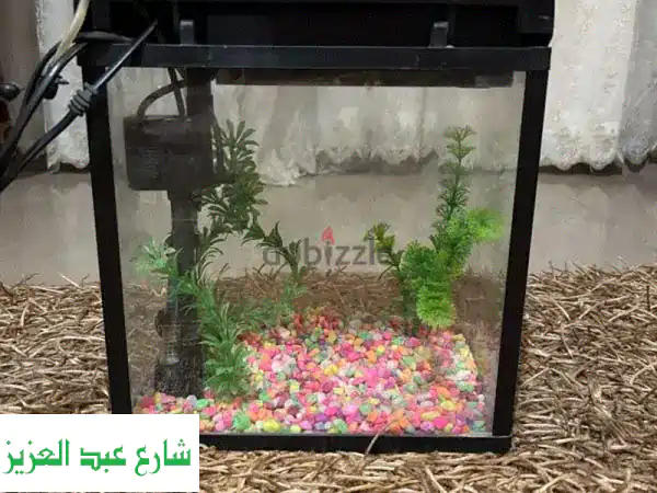 حوض سمك مستعمل بحالة ممتازة بالمشتملات | مقاس 30x20x37 جاهز لأسماكك!