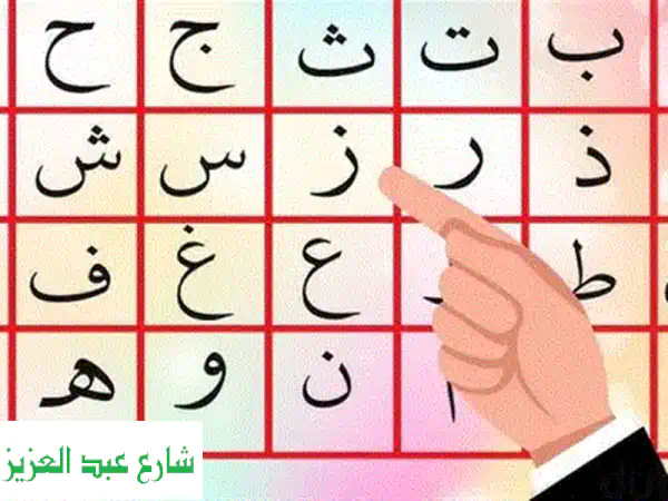 القاهرة الجديدة