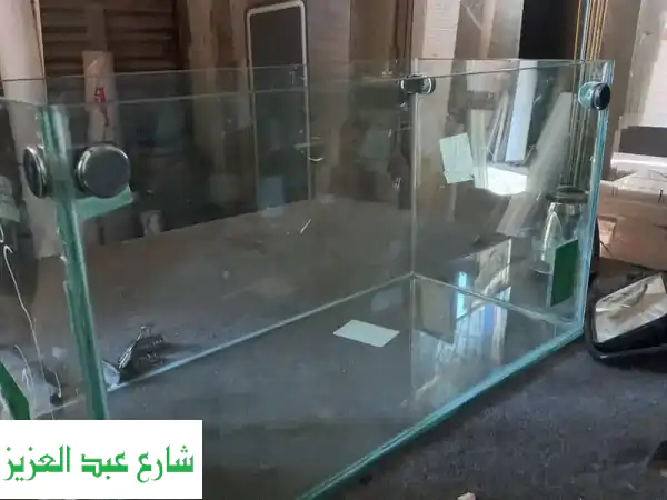 مدينتى
