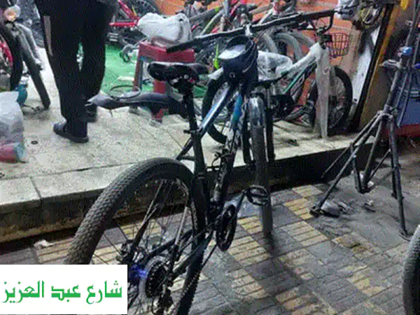 المريوطيه فيصل