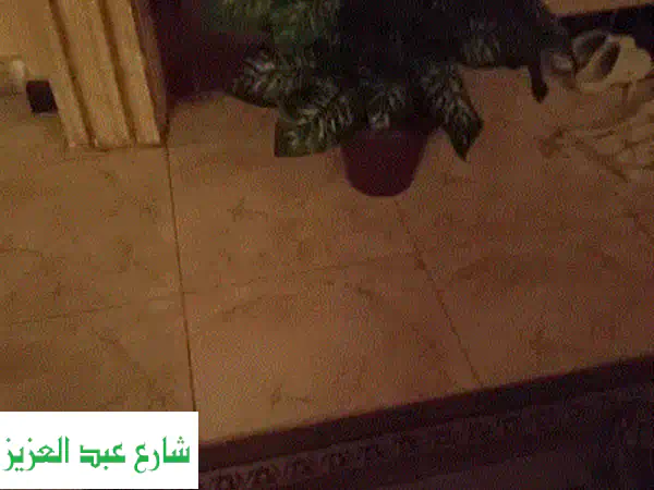 شجرة الياسمين