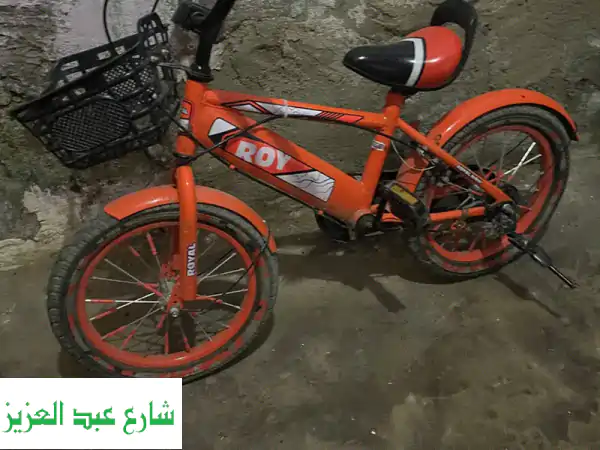 الهرم