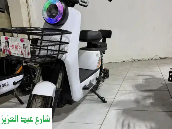 سكوتر كهربا ٤٥٠ وات ليثيوم electic scooter 450 watt lithium