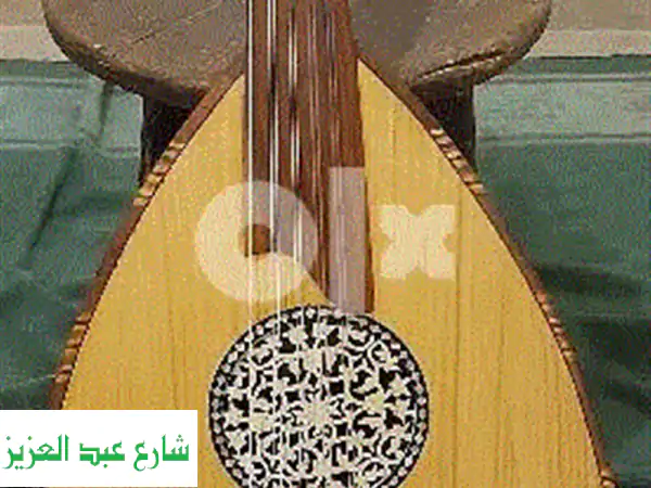 فرصة استثنائية: عود احترافي بصوت رنان، أوتار...